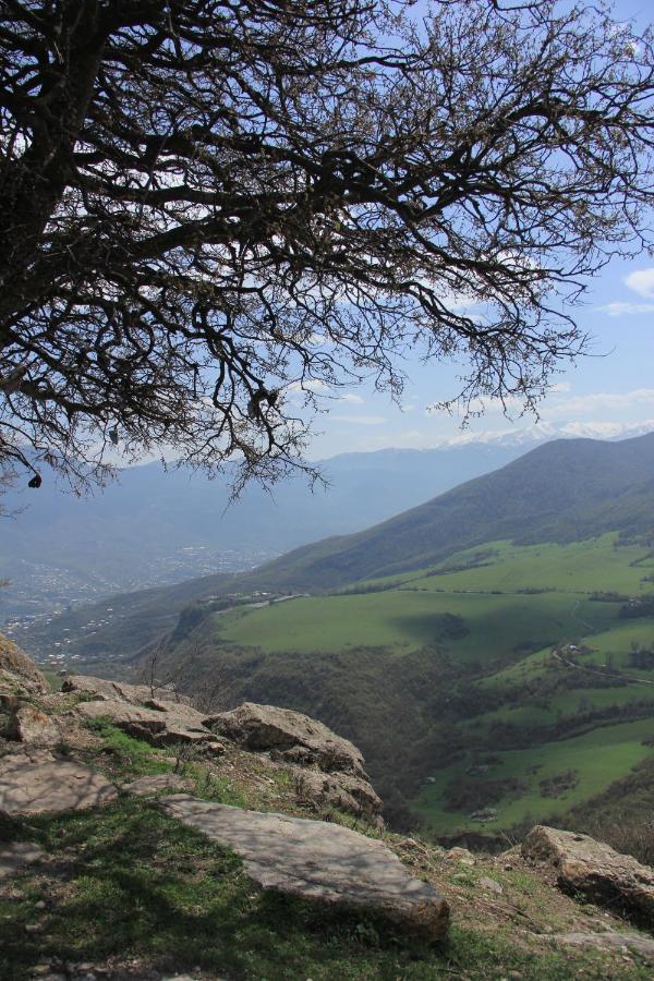Yenokavan Glamping Ijevan Exteriér fotografie